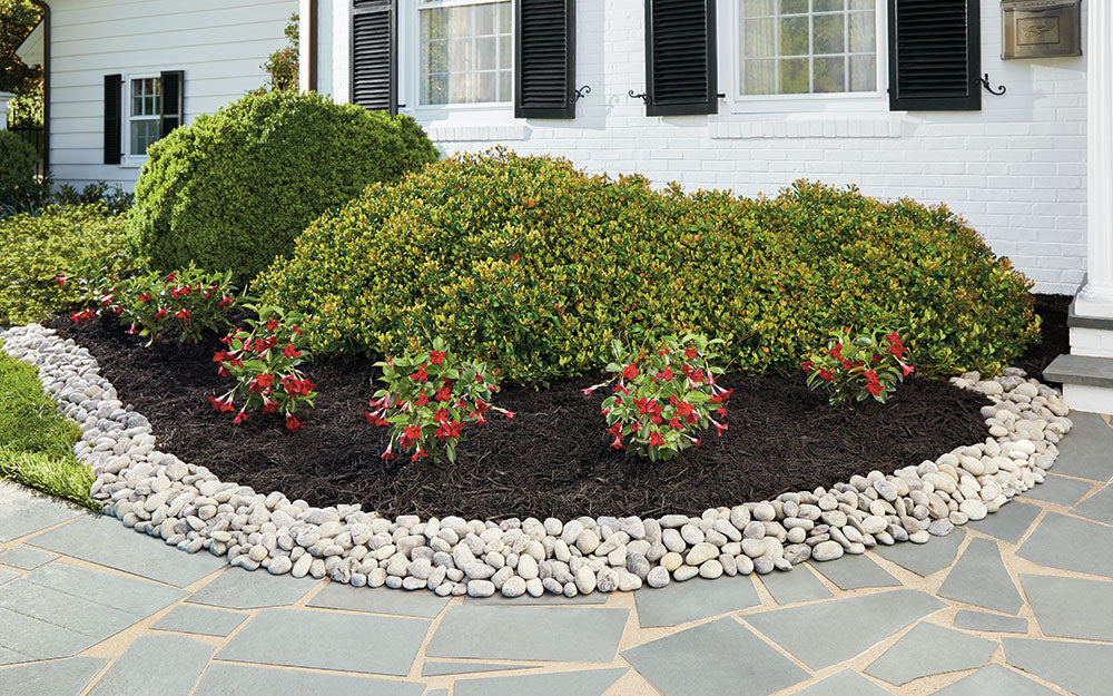 Foundation bed finished in decorative stone with trimmed shrubs