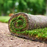 New lawn installation