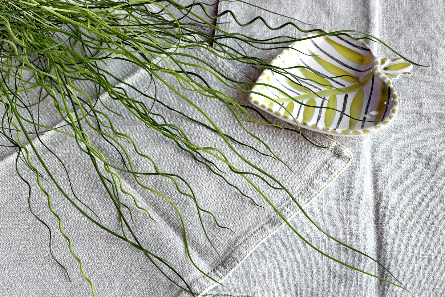 10 CORKSCREW RUSH Spiral Grass Juncus Effusus Spiralis Wetland Pond Seeds