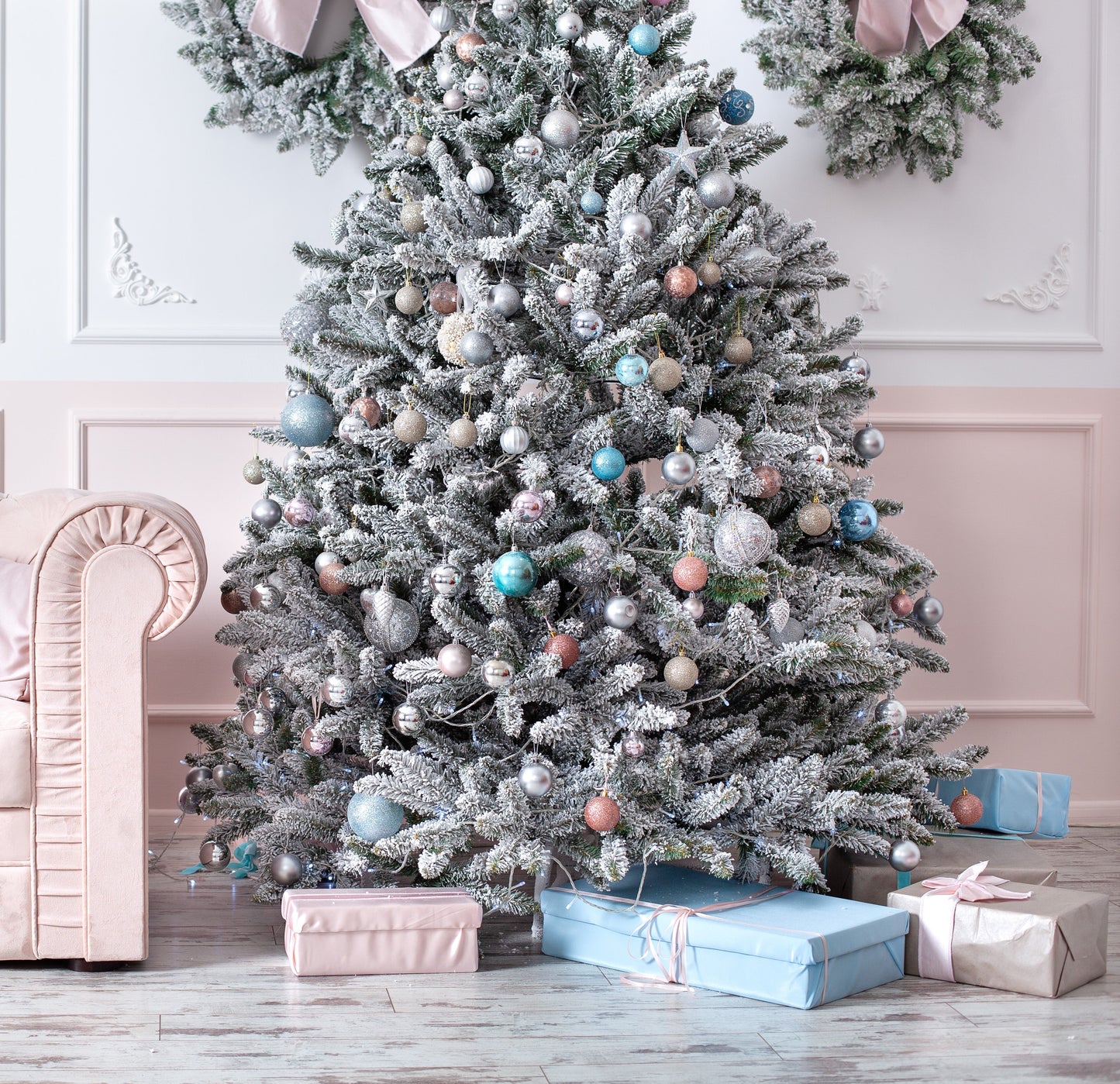 Grow Your Own CHRISTMAS TREE - Colorado Blue Spruce ( Picea Pungens Glauca ) Gift Packet of Tree Seeds