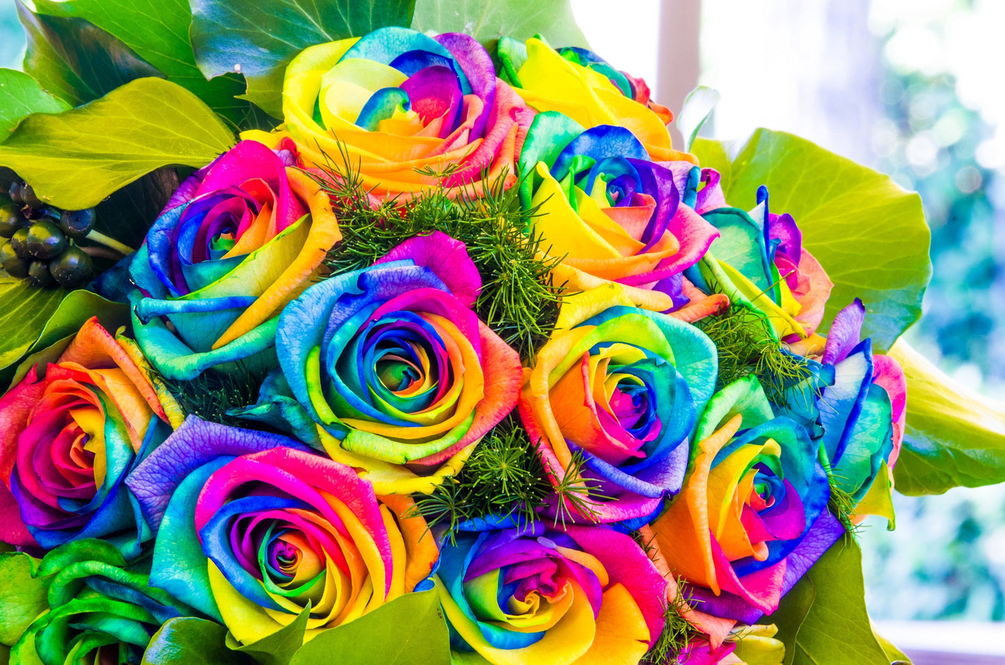 Make Your Own - 5 RAINBOW ROSE BUSH Seeds Shrub Rosa Flower