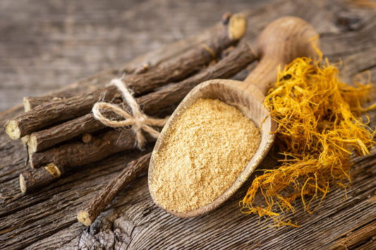 10 COMMON LICORICE Liquorice Glycyrrhiza Glabra Herb Purple Flower Seeds