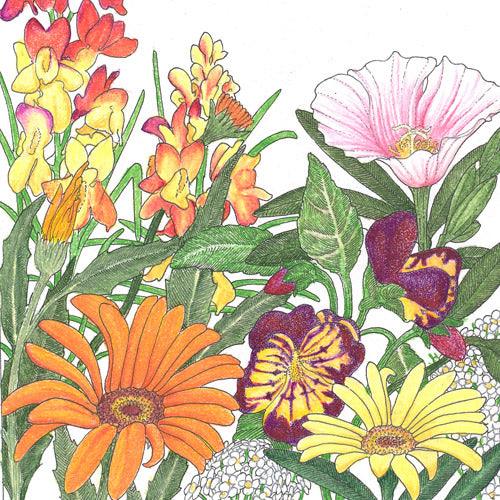 Low Growing Wildflower Mix (pack)