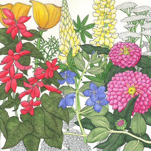 Deer Proof Garden Wildflower Mix (pack)