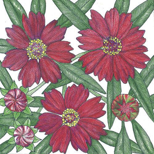 Coreopsis, Dwarf Plains Red (pack)