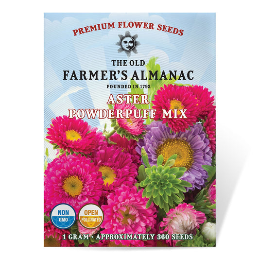The Old Farmer's Almanac Powder Puff Mix Aster Seeds