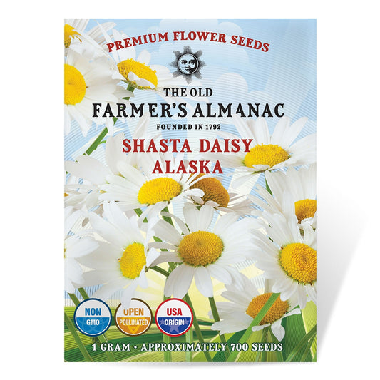 The Old Farmer's Almanac Shasta Alaska Daisy Seeds