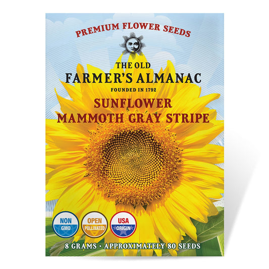 The Old Farmer's Almanac Mammoth Gray Strip Sunflower Seeds