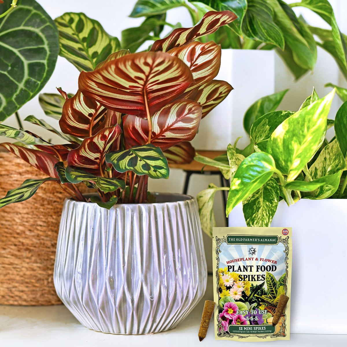 The Old Farmer's Almanac Houseplant & Flower Plant Food Mini Spikes