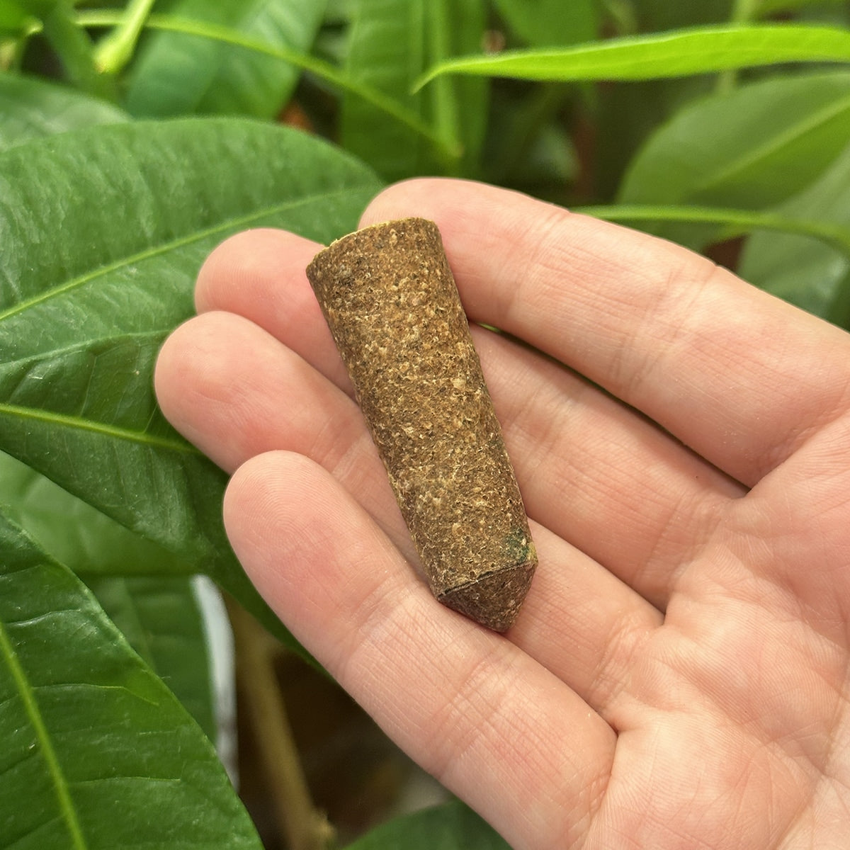 The Old Farmer's Almanac Houseplant & Flower Plant Food Mini Spikes