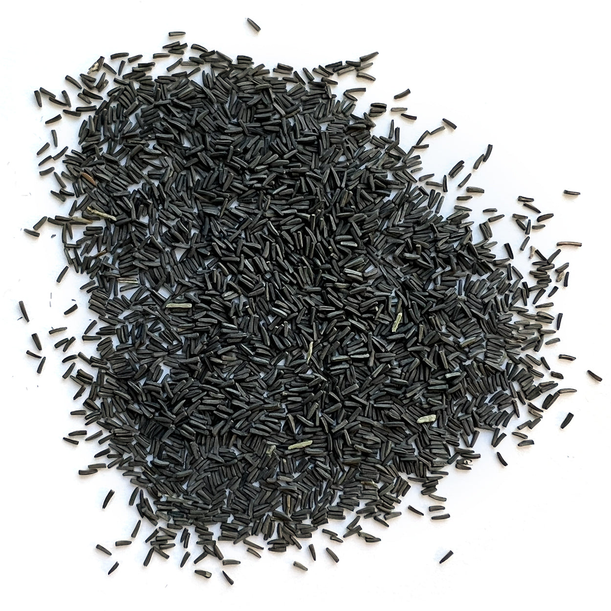 The Old Farmer's Almanac Rudbeckia Black Eyed Susan Seeds