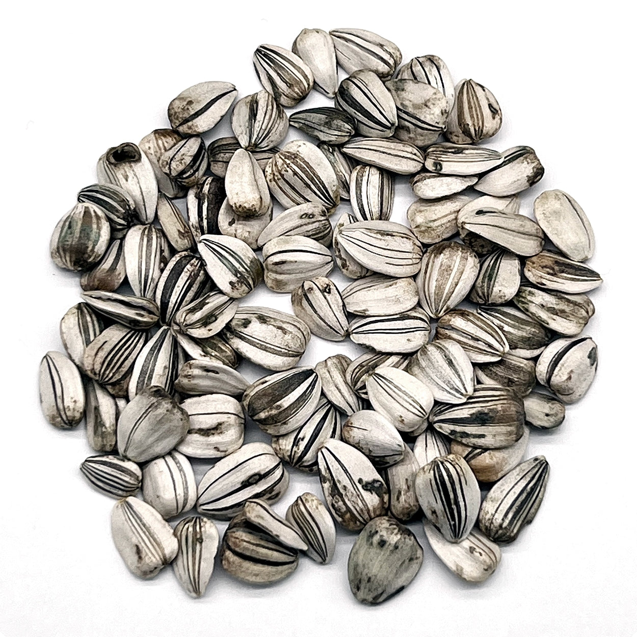 The Old Farmer's Almanac Mammoth Gray Strip Sunflower Seeds