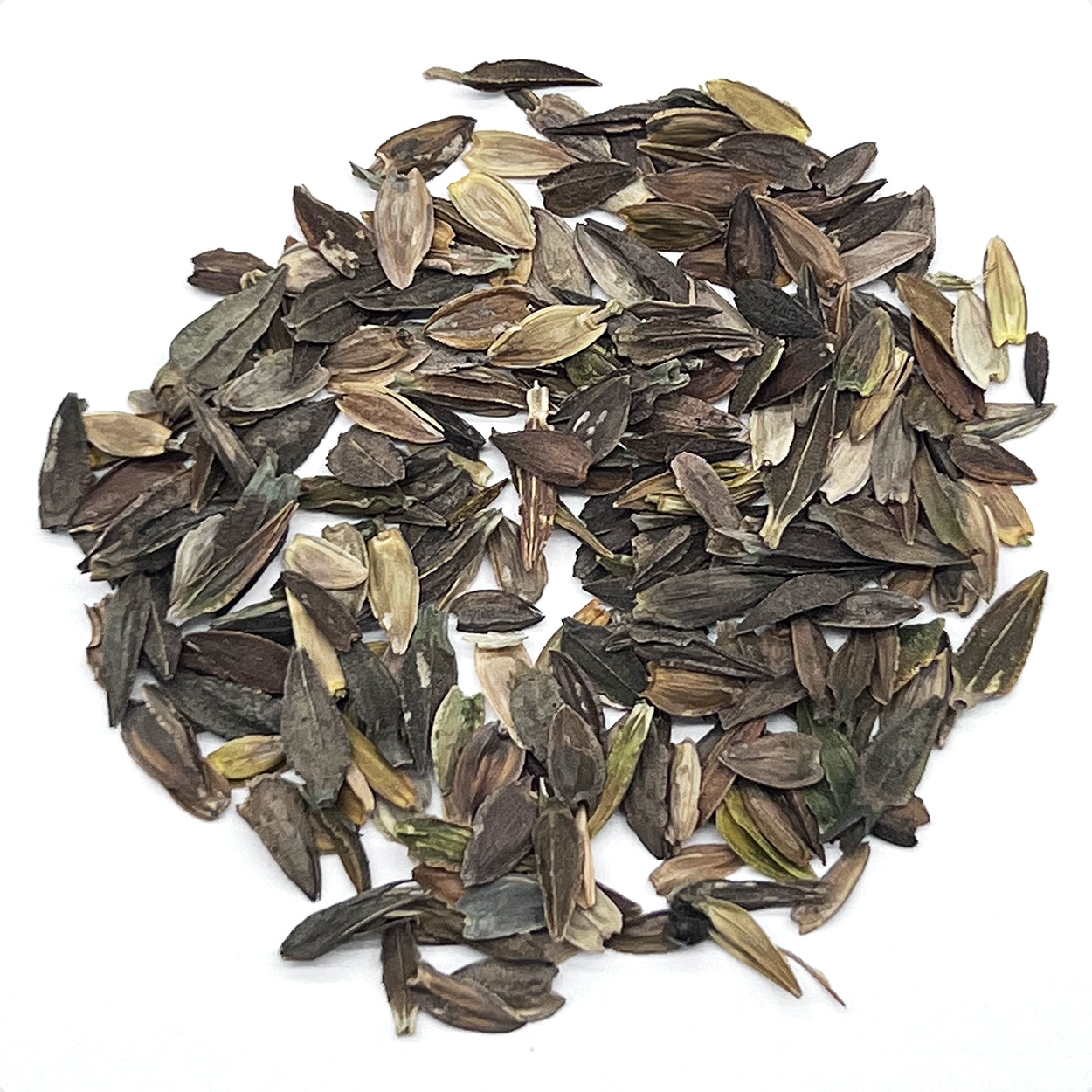 The Old Farmer's Almanac Dahlia Mix Zinnia Seeds