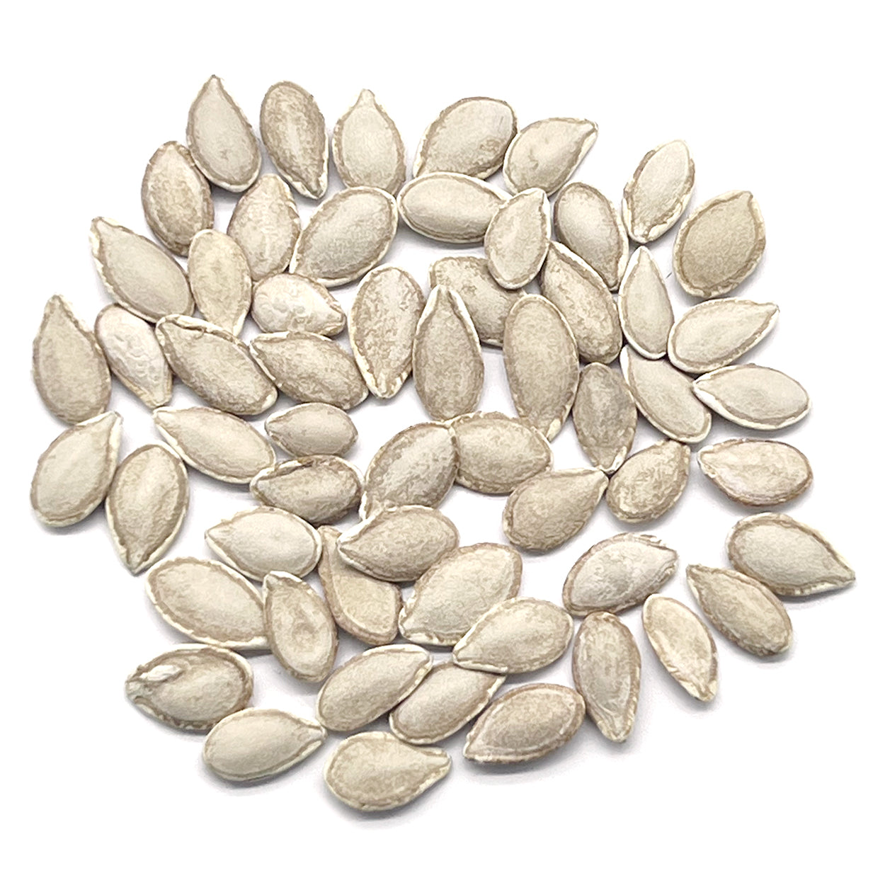 The Old Farmer's Almanac Heirloom Waltham Butternut Winter Squash Seeds