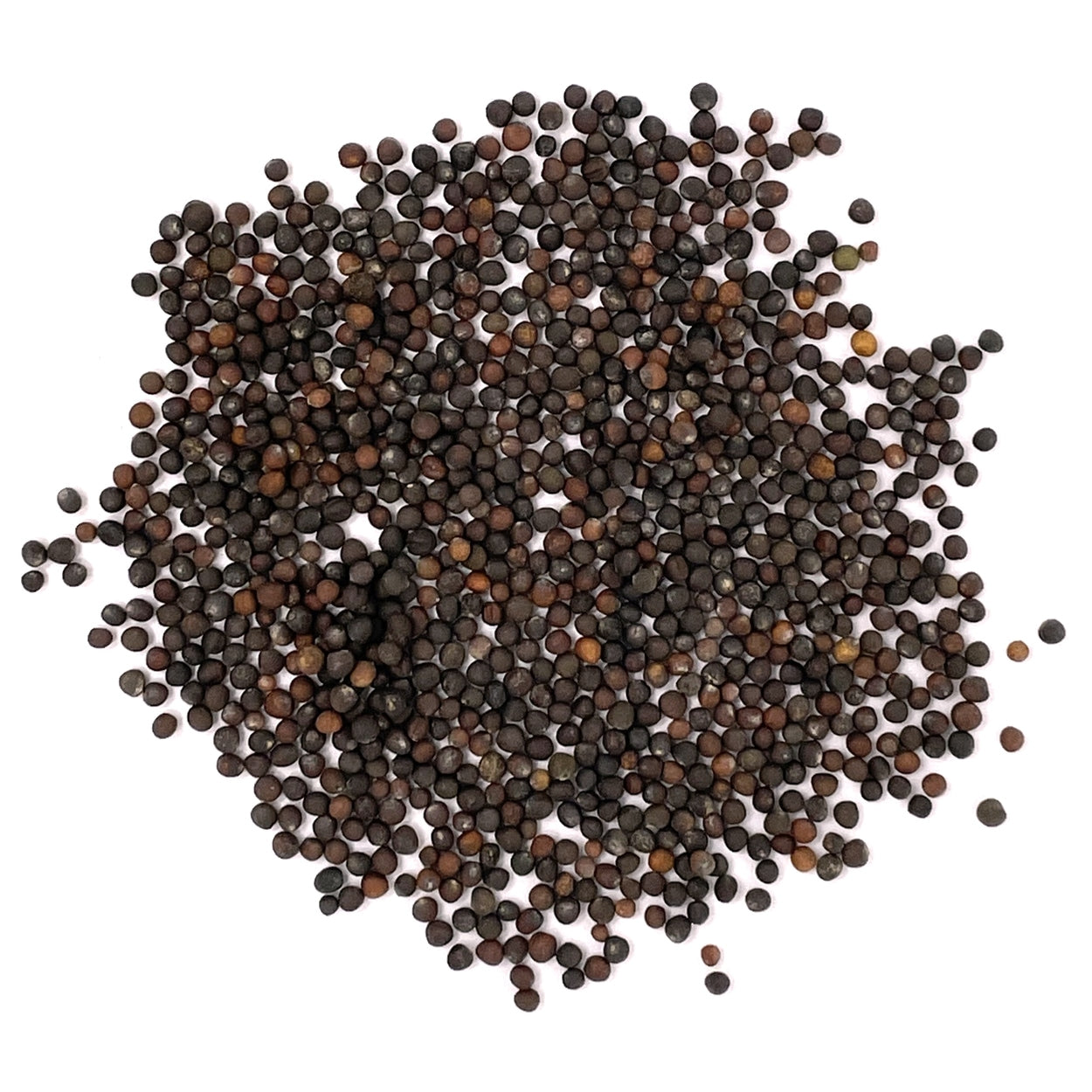 The Old Farmer's Almanac Heirloom Golden Acre Cabbage Seeds