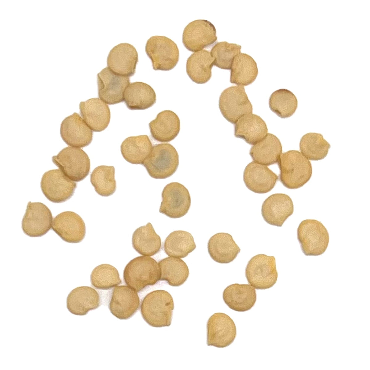 The Old Farmer's Almanac Heirloom Long Slim Cayenne Pepper Seeds - USDA Organic