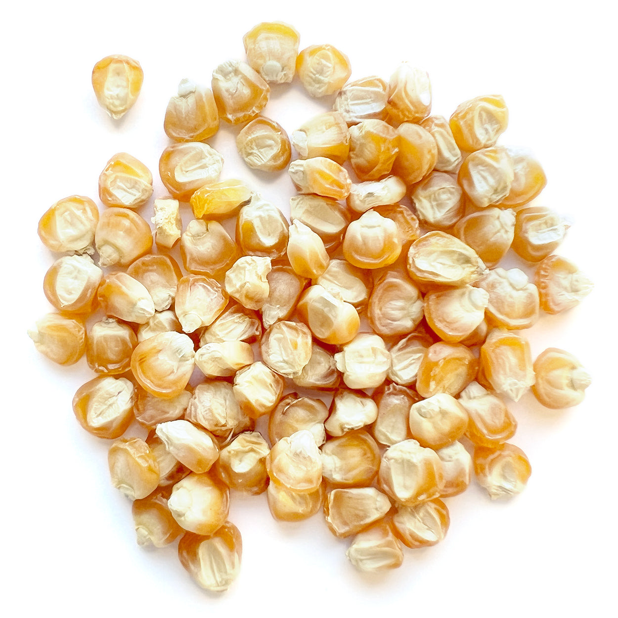 The Old Farmer's Almanac Heirloom Golden Bantam Sweet Corn Seeds