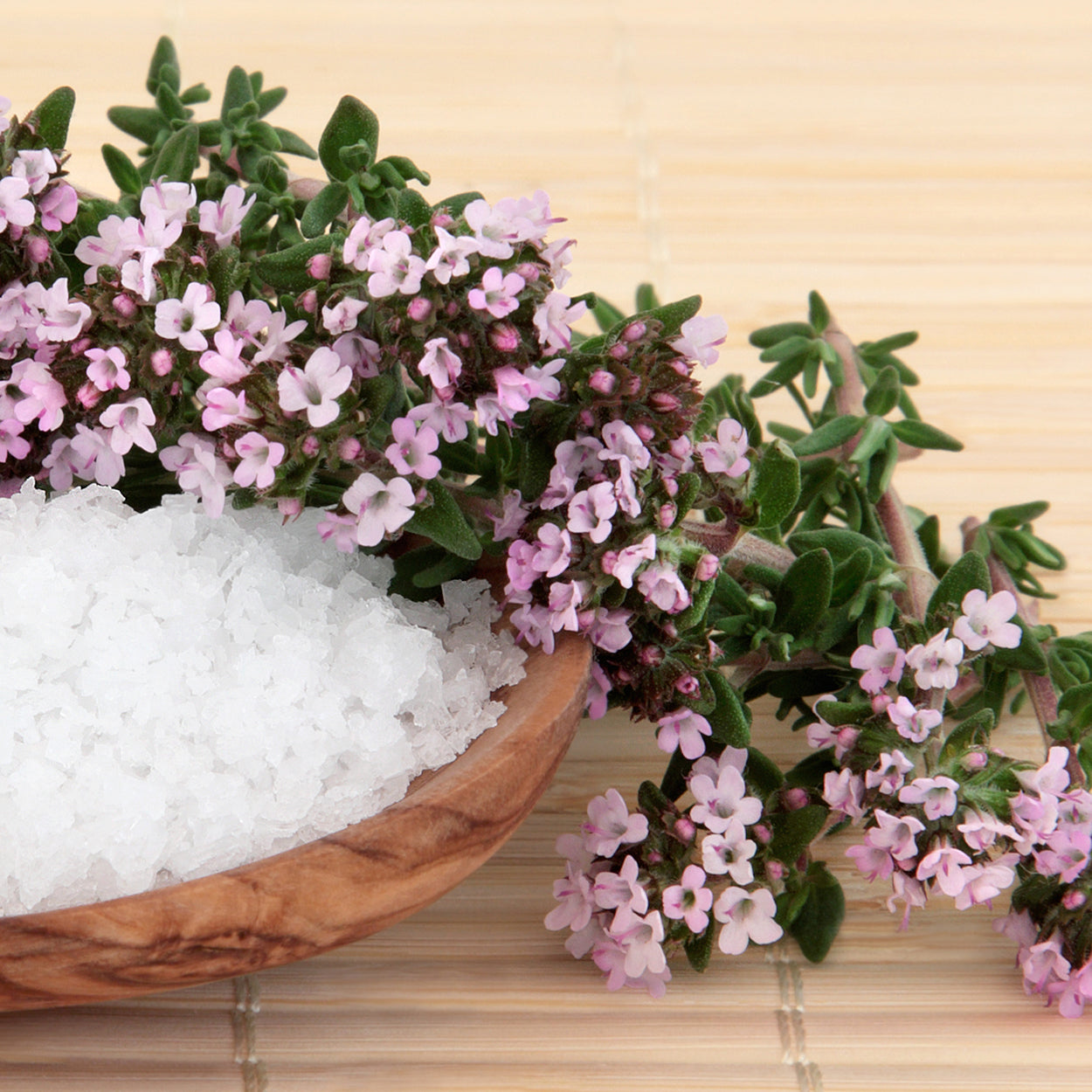 The Old Farmer's Almanac Heirloom Thyme Seeds - USDA Organic