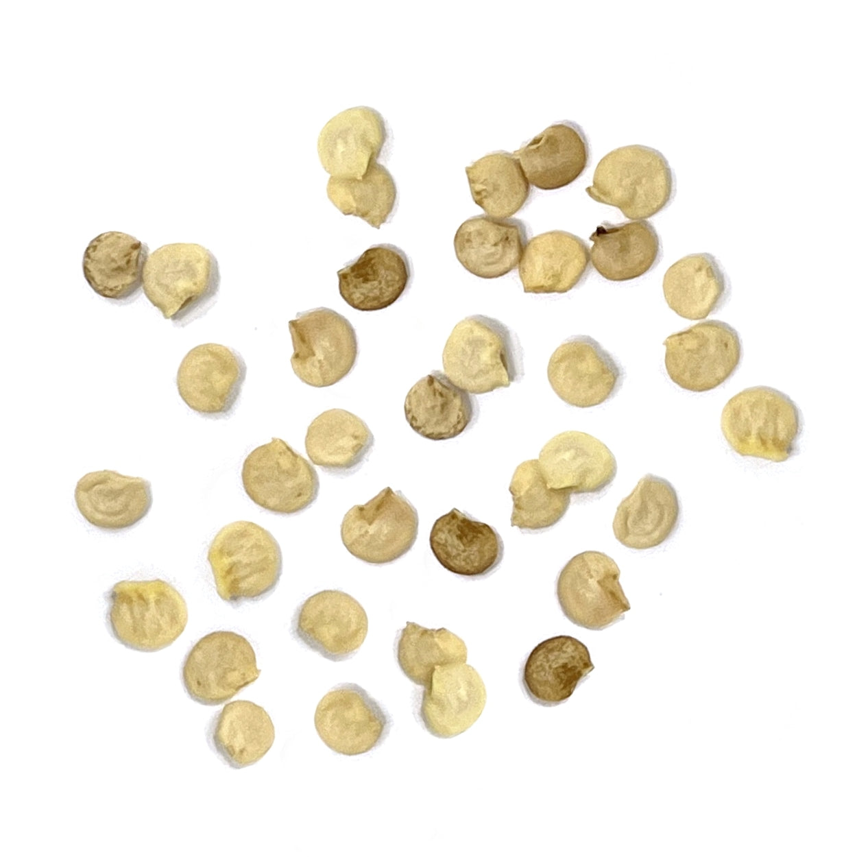 The Old Farmer's Almanac Heirloom Big Red Sweet Pepper Seeds