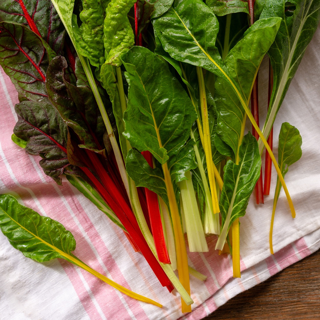 The Old Farmer's Almanac Heirloom Rainbow Mix Swiss Chard Seeds