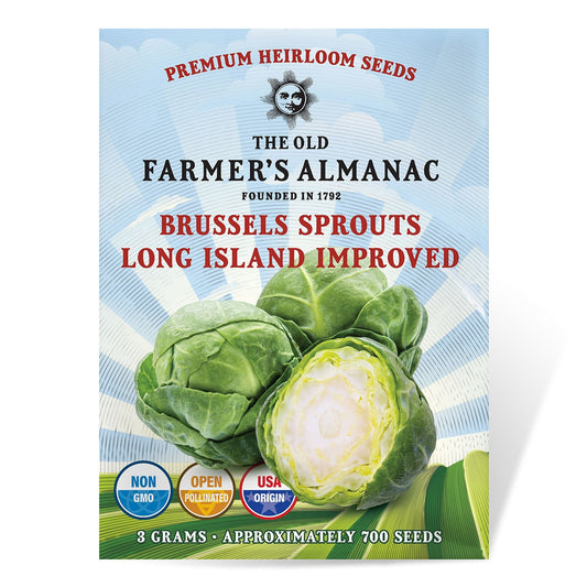 The Old Farmer's Almanac Heirloom Long Island Improved Brussels Sprouts Seeds