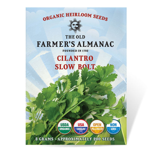 The Old Farmer's Almanac Heirloom Slow Bolt Cilantro Seeds - USDA Organic