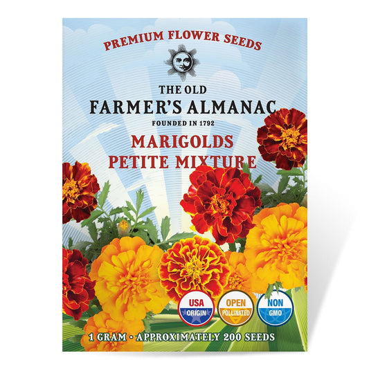 The Old Farmer's Almanac Petite Mixture Marigold Seeds