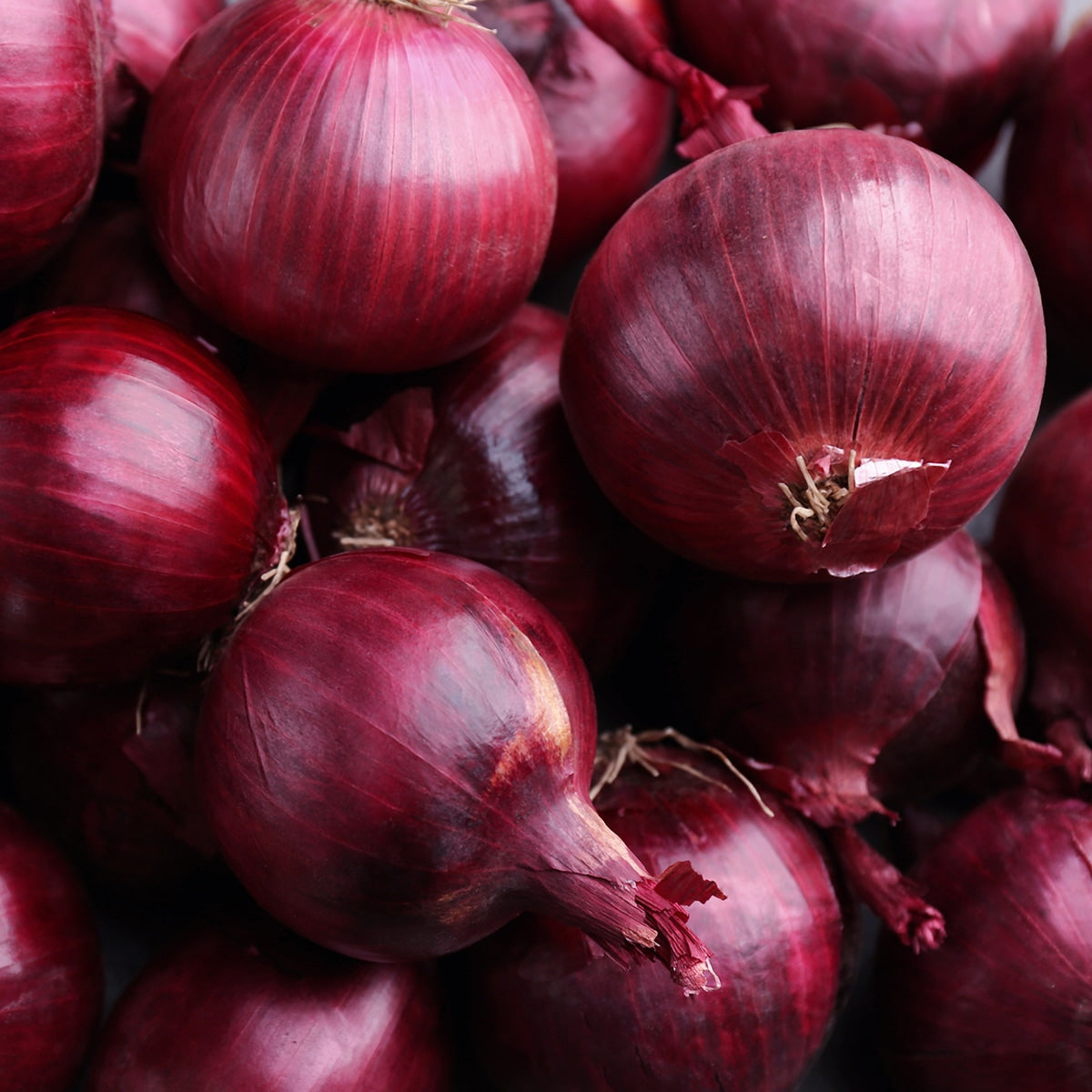 The Old Farmer's Almanac Heirloom Red Creole Onion Seeds