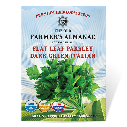 The Old Farmer's Almanac Heirloom Dark Green Italian Flat Leaf Parsley Seeds