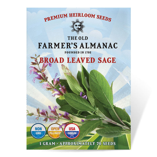 The Old Farmer's Almanac Heirloom Broad Leaved Sage Seeds