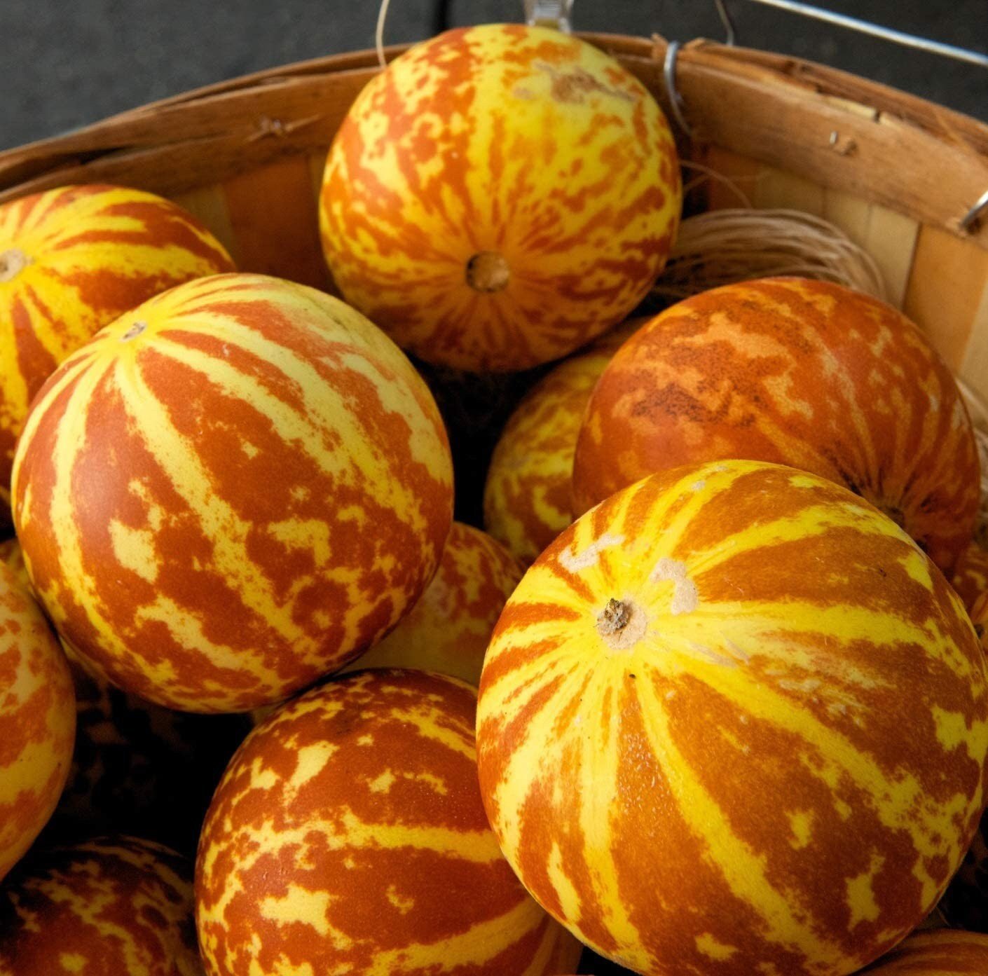 Tigger Melon - 20 Seeds - Exotic Garden Fruit - Sweet Melons