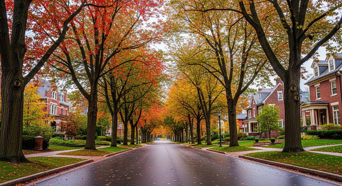 Tree-lined residential street in a Sheboygan County community